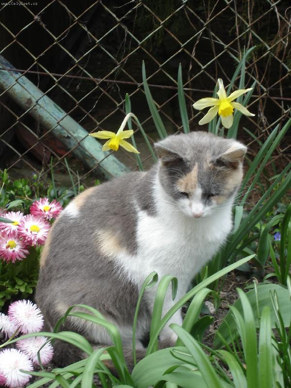 Foto: Cassie