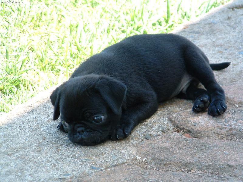 Foto: Ja jsem tu novy...