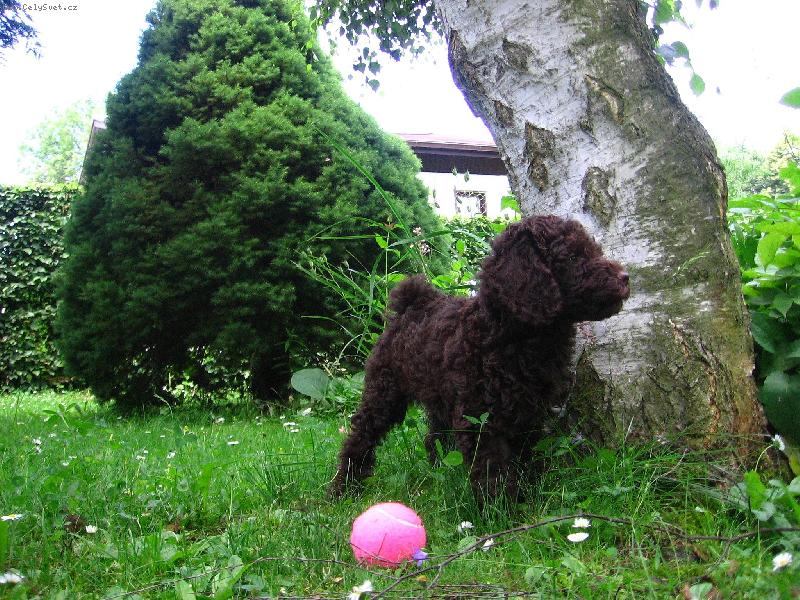 Foto: Pod stromem-�t�n� Bety na chat�