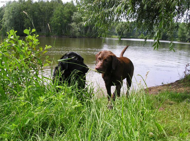 Foto: romantick� sch�zka ve dvou