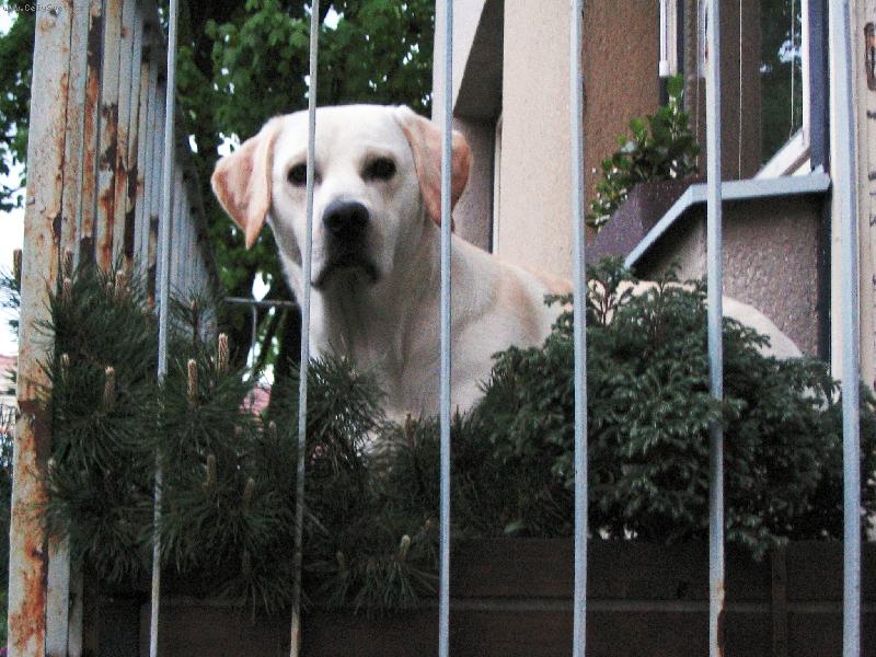 Foto: Sam��ek-Bydl�m ve Valdic�ch :o)