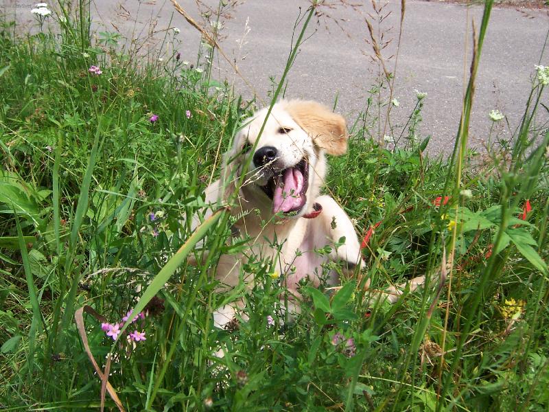 Foto: ...to je sranda