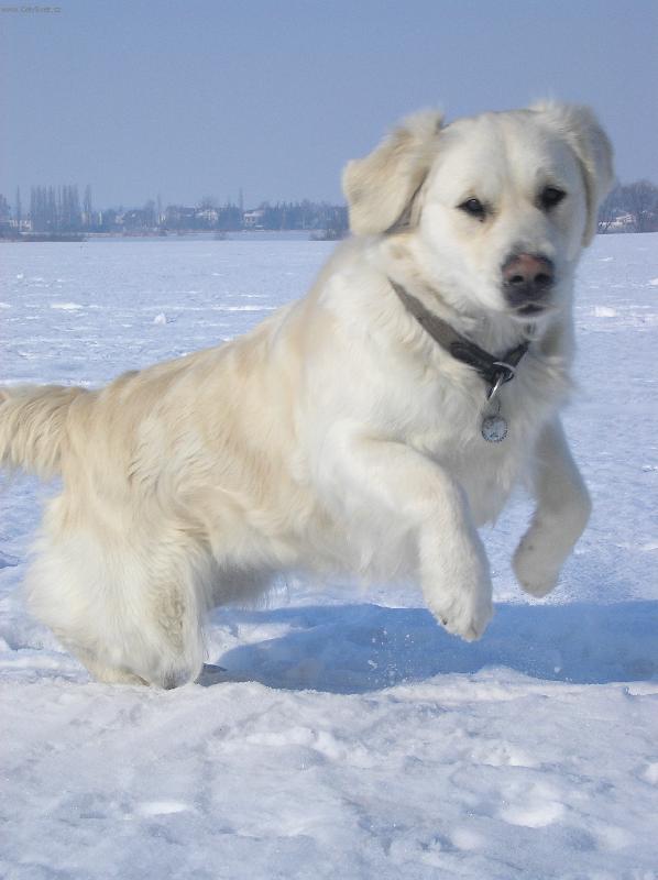 Foto: ����� HOOOP-U� letim!!!!