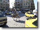Damascus